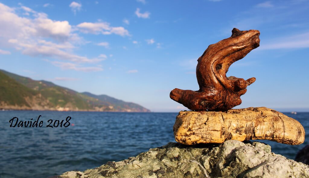 Davide, “Forme sfuggenti #10 – Punta Mesco”, Monterosso al Mare (La Spezia, Liguria – Cinque Terre, Italia), luglio 2018. © Davide Tansini