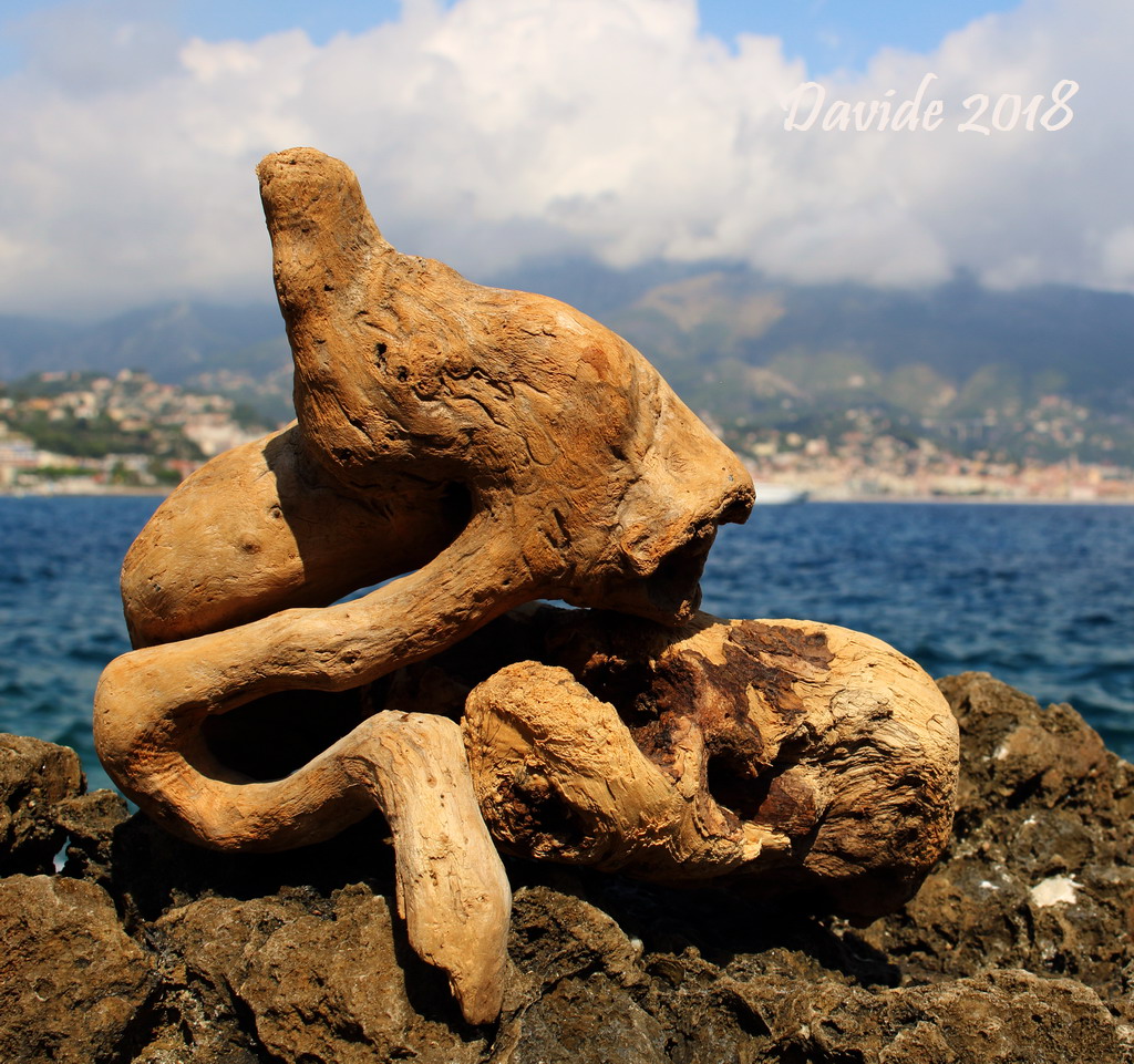 Davide, “Forme sfuggenti #13 – Plage de Carnolès”, Roquebrune-Cap-Martin (Alpi Marittime, Provenza-Alpi-Costa Azzurra – Francia), settembre 2018. © Davide Tansini