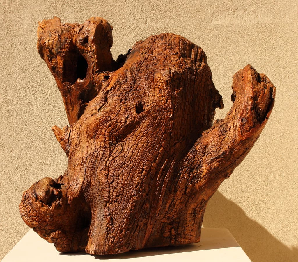 Erminio Tansini, “Senza titolo”, 2018, legno della Valtrebbia. © Erminio Tansini
